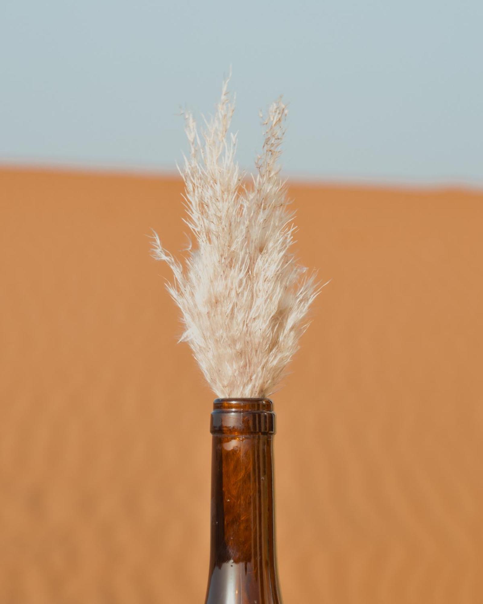 Hotel Bohem Camp Merzouga Exteriér fotografie